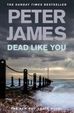 Peter James Dead Like You обложка книги