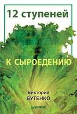 Виктория Бутенко 12 ступеней к сыроедению обложка книги