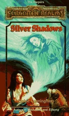 Elaine Cunnighham Silver Shadows обложка книги