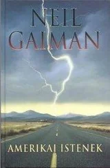Neil Gaiman - Amerikai istenek