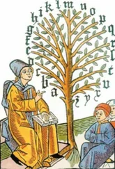 Рой Медведев - Непрерывное развитие языков - их влияние друг на друга и конкуренция