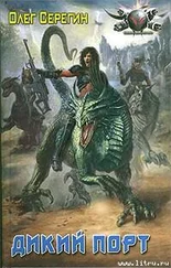 Олег Серегин - Дикий Порт