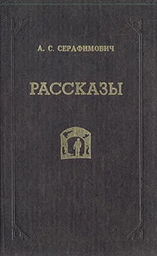 Александр Серафимович Скитания обложка книги