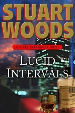 Stuart Woods Lucid Intervals обложка книги