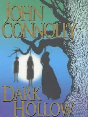 John Connolly Dark Hollow обложка книги