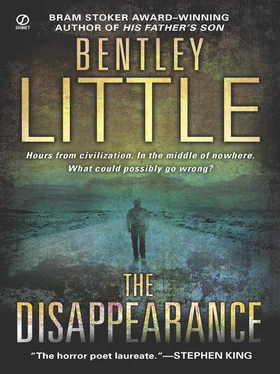 Бентли Литтл The Disappearance обложка книги