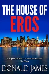 Дональд Джеймс - The House of Eros