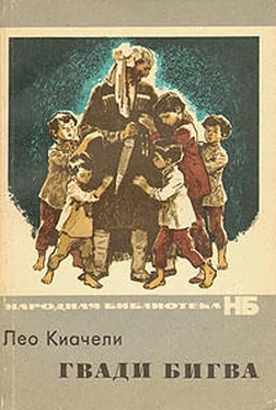 Лео Киачели Гвади Бигва обложка книги