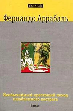 Фернандо Аррабаль Необычайный крестовый поход влюбленного кастрата, или Как лилия в шипах обложка книги