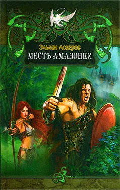 Эльхан Аскеров Месть амазонки обложка книги