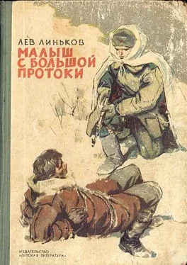 Лев Линьков Малыш с Большой Протоки обложка книги