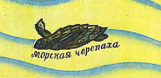 КАК МОРЕ ПЕРЕДЕЛАЛО ЛАПУ ЗВЕРЯ У тебя мизинец самый маленький палец У тюленя - фото 91