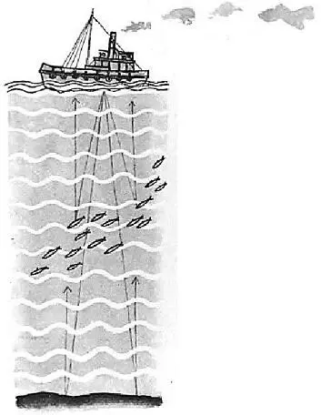 Раньше для того чтобы измерить морские глубины лоцман бросал в воду лот - фото 108