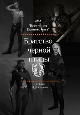 Виталий Адамцевич Братство Чёрной Птицы (СИ) обложка книги