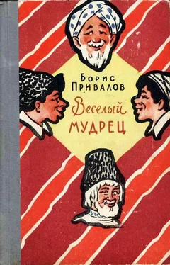 Борис Привалов Веселый мудрец. Юмористические повести обложка книги