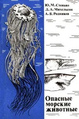 Дмитрий Михельсон - Опасные морские животные