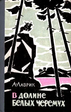 Александр Лаврик В долине белых черемух обложка книги