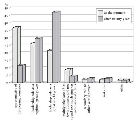 Figure 50 Response of Chinese youth to the question What role do you think - фото 80