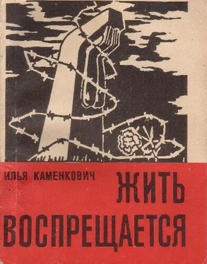 Илья Каменкович Жить воспрещается обложка книги