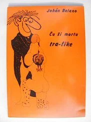 Claude Piron - Ĉu ŝi mortu tra-fike?