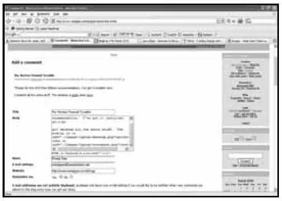 Натягивать матросскую тельняшку компания Netscape не решилась а потому уже - фото 140