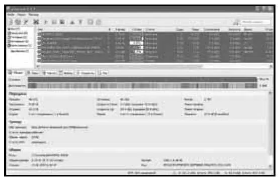 Файлообменная сеть BitTorrent получила достаточно широкое распространение изза - фото 151