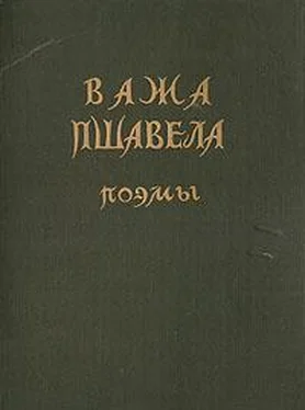 Важа Пшавела Поэмы обложка книги