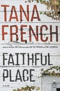 Tana French Faithful Place обложка книги