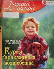 Анастасия Чеховская - Курсы прикладного волшебства - уши, лапы, хвост и клад в придачу
