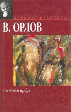 Владимир Орлов Солёный арбуз обложка книги