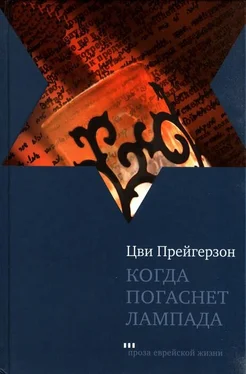 Цви Прейгерзон Когда погаснет лампада обложка книги