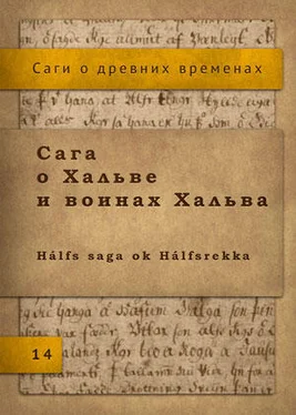 Исландские саги Сага о Хальве и воинах Хальва обложка книги