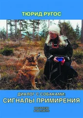 Тюрид Ругос - Диалог с собаками - сигналы примирения