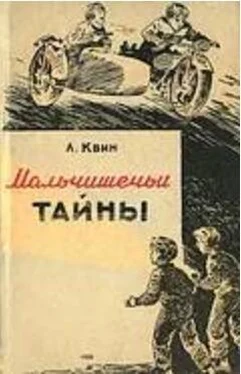 Лев Квин Мальчишечьи тайны обложка книги