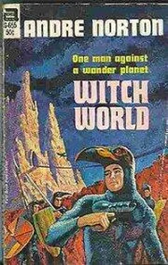 Andre Norton Witch World обложка книги