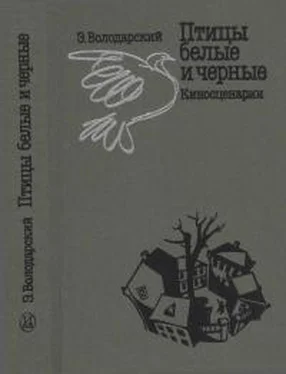 Эдуард Володарский Птицы белые и черные обложка книги