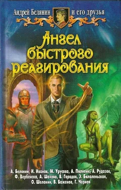 Андрей Белянин Ангел быстрого реагирования обложка книги