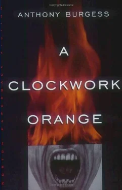 Antony Burgess A Clockwork Orange обложка книги