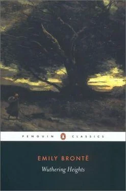 Emily Brontë Wuthering Heights обложка книги