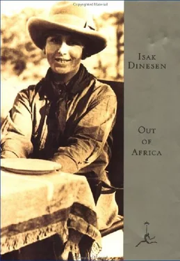 Karen Bliexen Out of Africa обложка книги