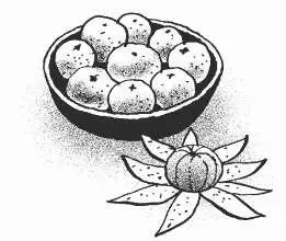 Для процедуры Очищения вам понадобится 1 Девять апельсинов Для большого дома - фото 25