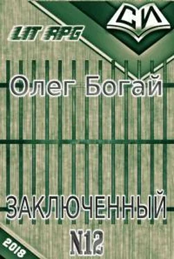 Олег Богай Булыга: Заключенный №12 обложка книги