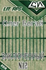 Олег Богай - Булыга - Заключенный №12