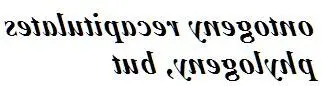 Mirror Fee Dont bother Borgia said I read dextro and levo Hes - фото 1