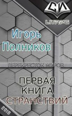 Игорь Полников Первая книга странствий обложка книги