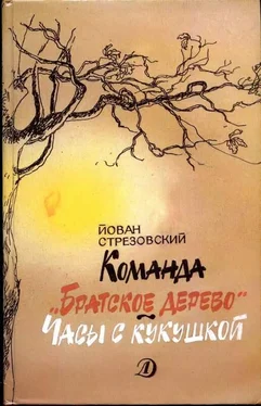 Йован Стрезовский Команда «Братское дерево». Часы с кукушкой обложка книги
