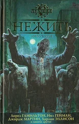 Дэвид Шоу - Расцвет