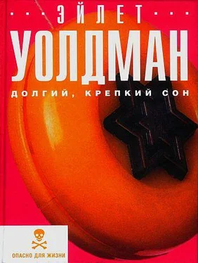 Эйлет Уолдман Долгий, крепкий сон обложка книги