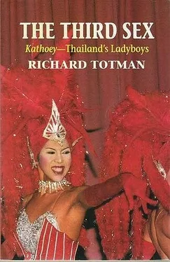 Ричард Тотман «Третий пол». Катои – ледибои Таиланда обложка книги