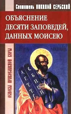 святитель Николай Сербский Объяснение десяти заповедей, данных Моисею обложка книги